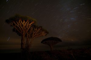 Đảo Socotra Yemen Điểm Đến Kỳ Lạ Nhất Hành Tinh