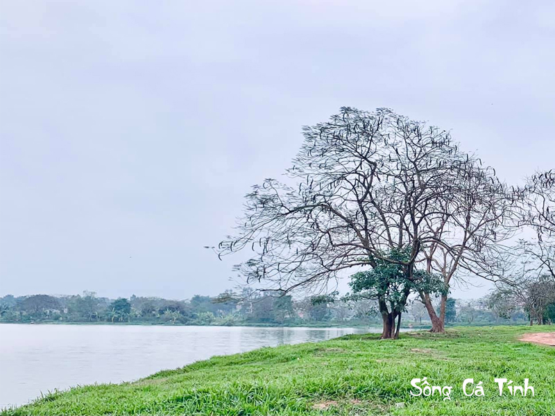 Cắm Trại Đầm Vân Trì Và Điều Bạn Chưa Biết