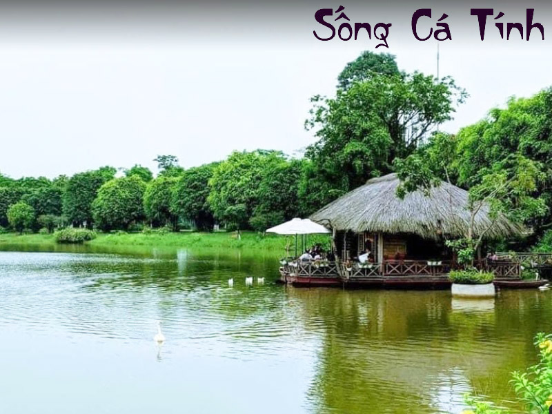 Cắm Trại Ecopark Trải Nghiệm Đầu Tiên Của Bé