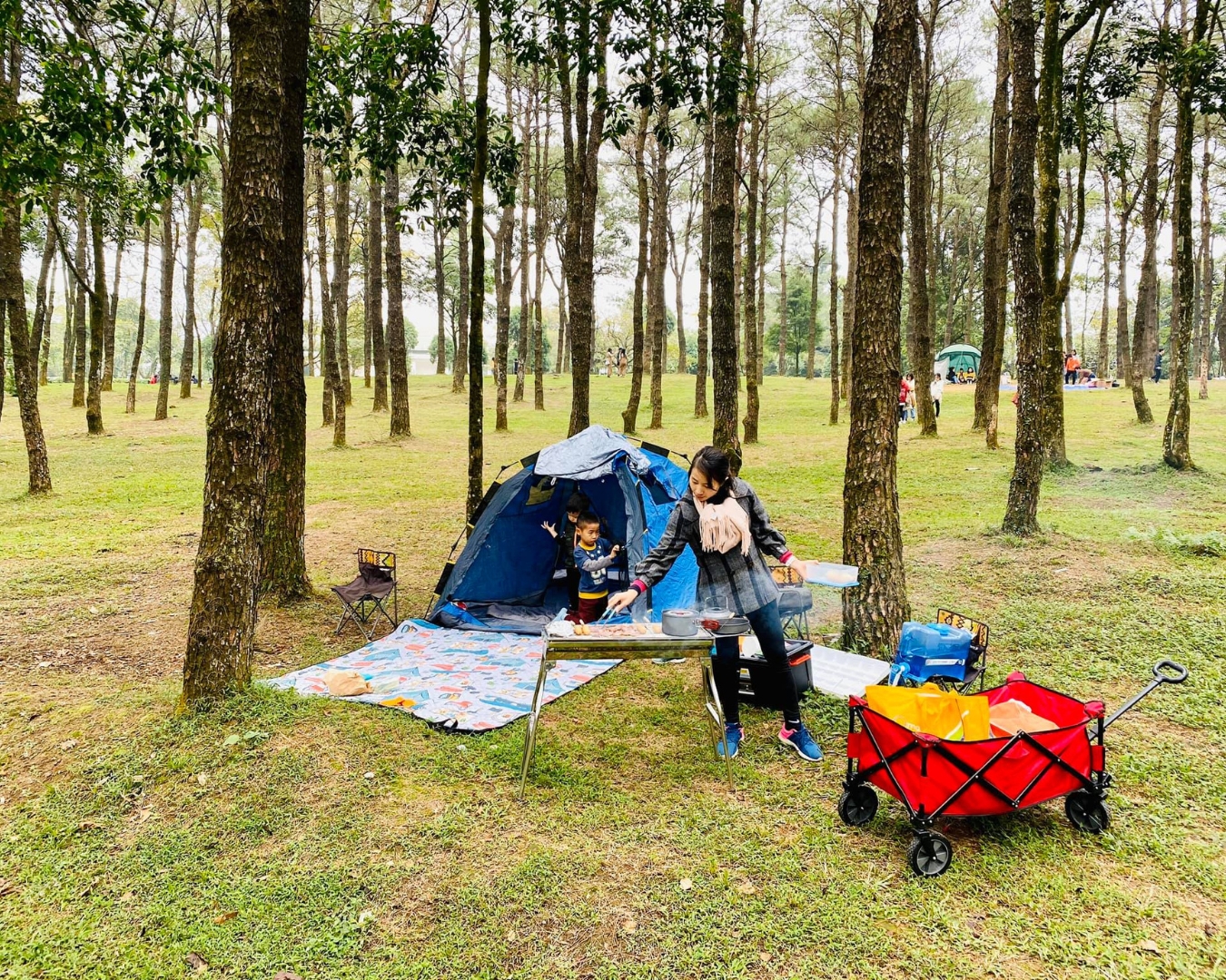 Camping Vườn Quốc Gia Ba Vì - Vui Chơi Ở Đâu