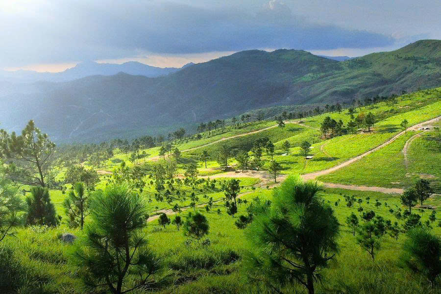 Đỉnh Phượng Hoàng - "Đà Lạt Thu Nhỏ" Giữa Lòng Uông Bí