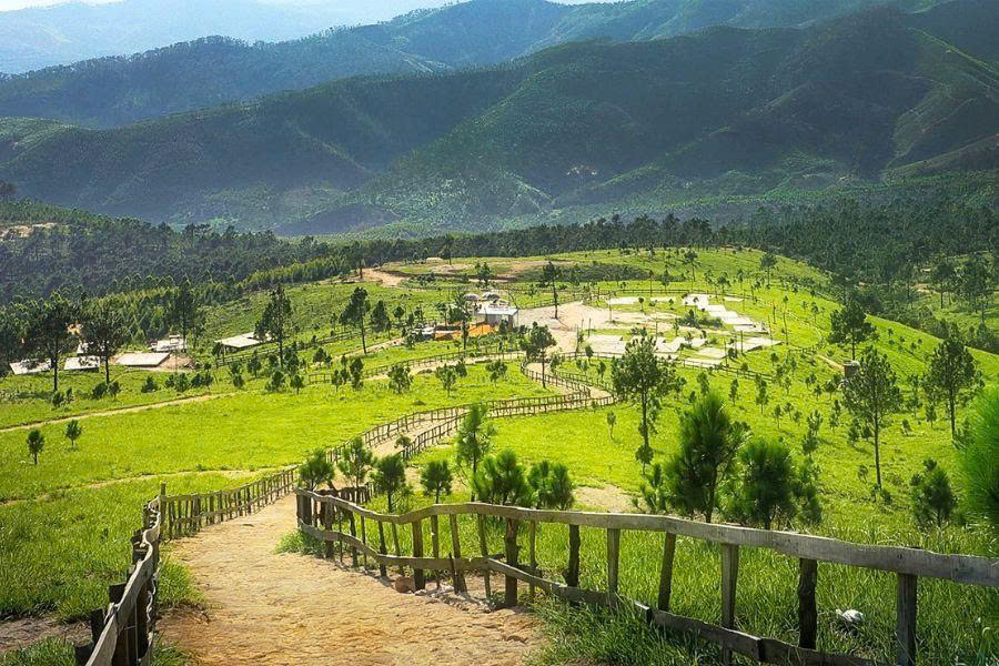 Đỉnh Phượng Hoàng - "Đà Lạt Thu Nhỏ" Giữa Lòng Uông Bí