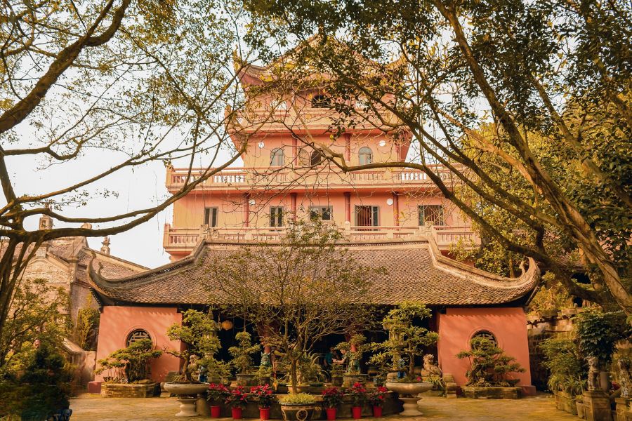 Việt Phủ Thành Chương - Không Gian Văn Hóa Đậm Chất Việt