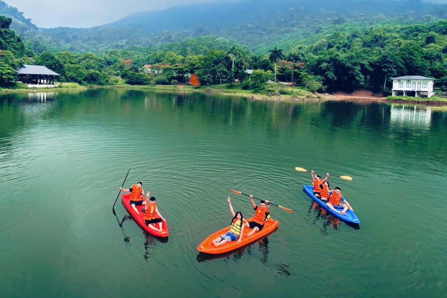 Cắm Trại Suối Mơ Ba Vì: Hành Trình Tìm Về Bản Nguyên Giữa Đại Ngàn