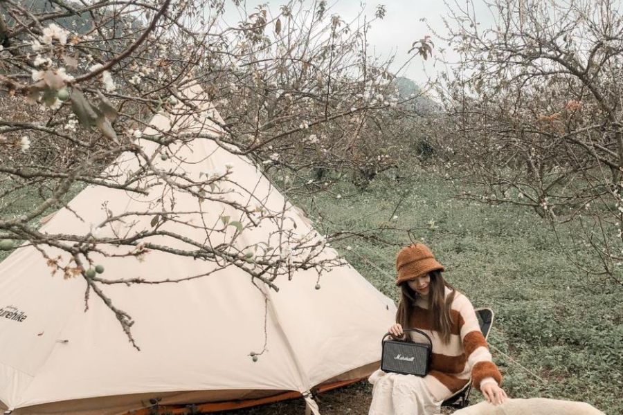 cắm trại Mộc Châu mùa hoa mận