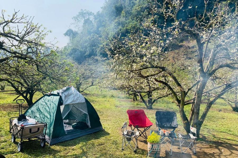 Hướng Dẫn Cắm Trại Mộc Châu Mùa Hoa Mận Chi Tiết Và An Toàn Nhất