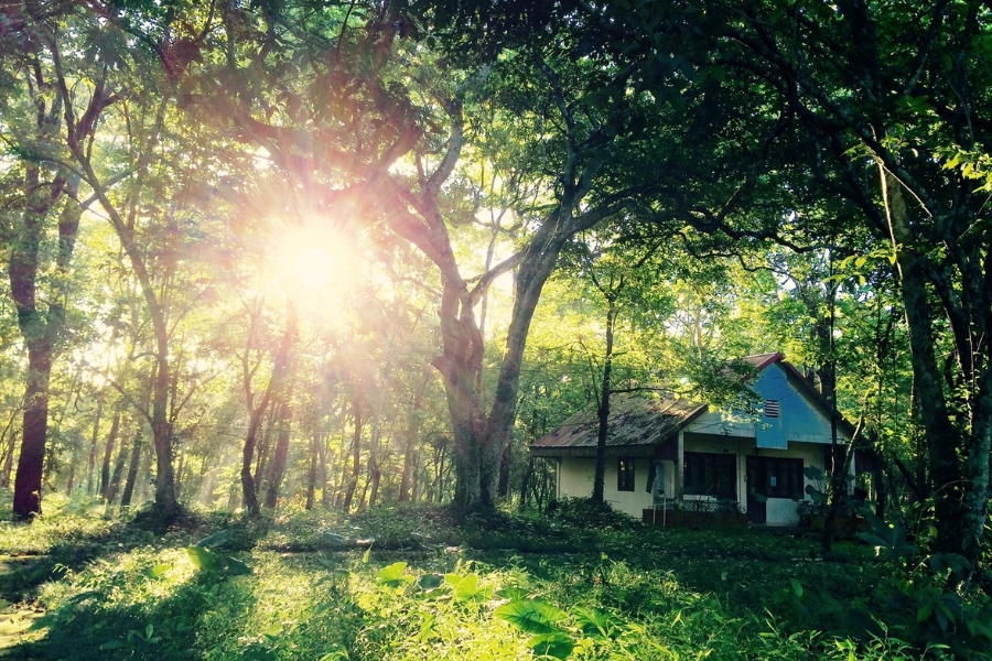 cắm trại tại vườn Quốc gia Cúc Phương