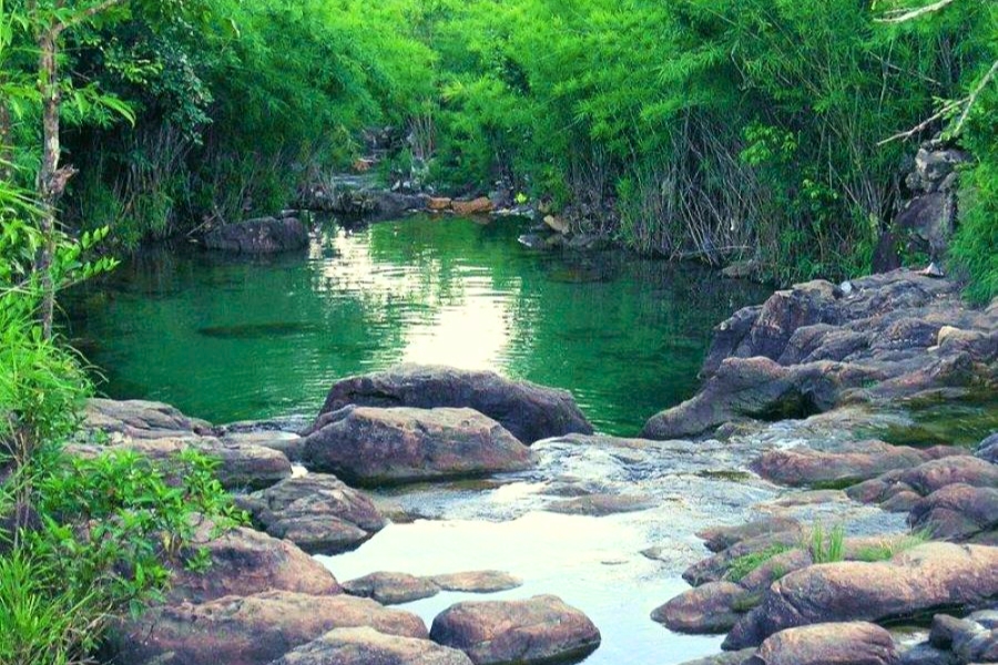 Cắm Trại Suối Trúc: Hành Trình “Trốn” Thành Phố Về Với Thiên Nhiên