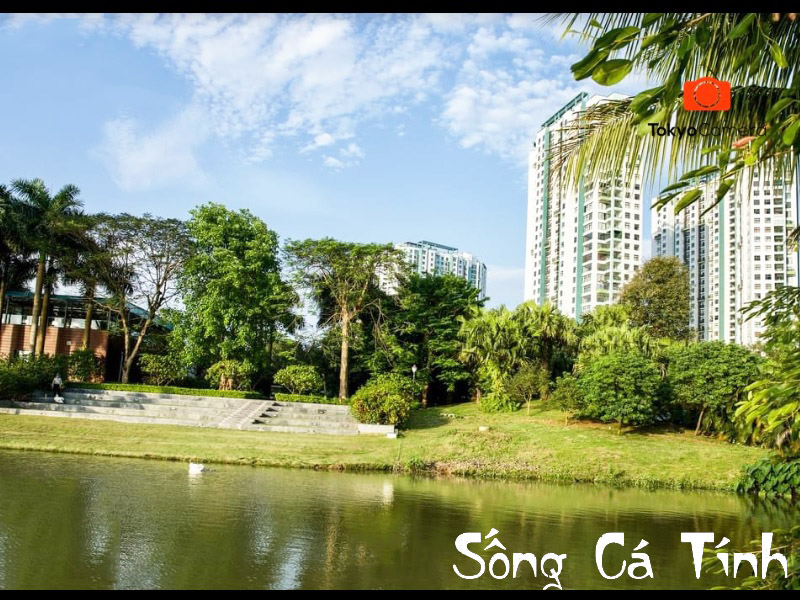 Cắm Trại Ecopark Trải Nghiệm Đầu Tiên Của Bé