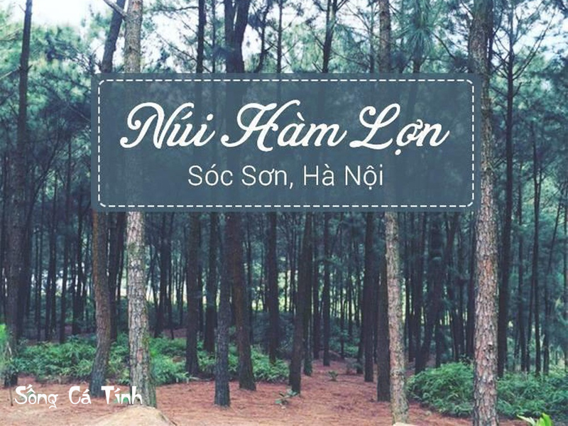 Cắm Trại Hàm Lợn Và Kinh Nghiệm Cần Biết