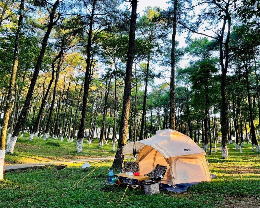 Tất Tần Tật Từ A-Z Kinh Nghiệm Camping Ba Vì Bạn Phải Biết