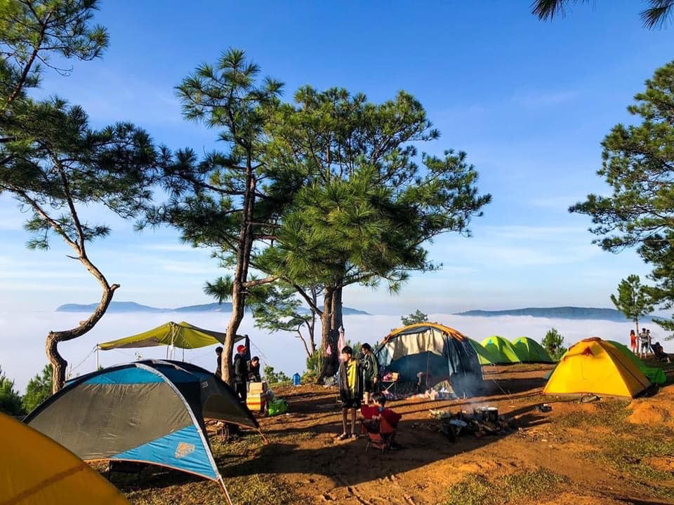 Kinh Nghiệm Camping Vườn Quốc Gia Ba Vì – Trải Nghiệm Tuyệt Vời