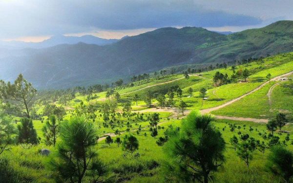 Đỉnh Phượng Hoàng – “Đà Lạt Thu Nhỏ” Giữa Lòng Uông Bí