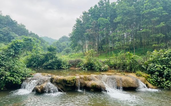 Kinh Nghiệm Dựng Lều Và Nấu Ăn Khi Cắm Trại Hồ Đập Trời
