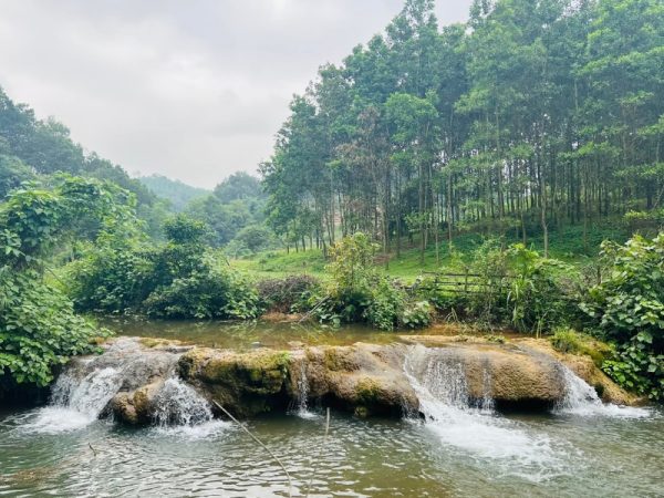 Kinh Nghiệm Dựng Lều Và Nấu Ăn Khi Cắm Trại Hồ Đập Trời