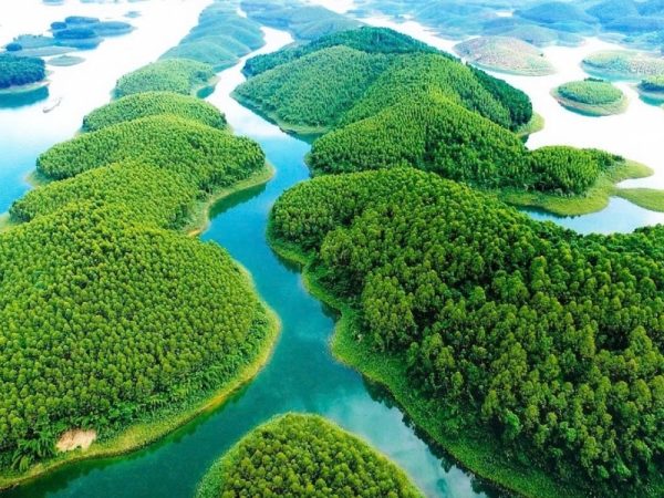 Bật Mí Trải Nghiệm Cắm Trại Đầm Vân Hội Khiến Bạn Muốn Đi Ngay