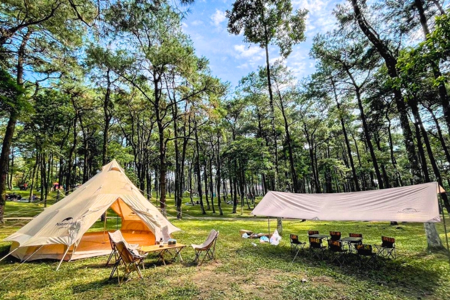 Bí Quyết Chọn Lều Cắm Trại Du Lịch Hoàn Hảo Cho Người Mới