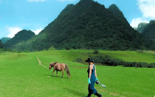 Top 5 Địa Điểm Cắm Trại Ở Cao Bằng Hút Hồn Tín Đồ Camping