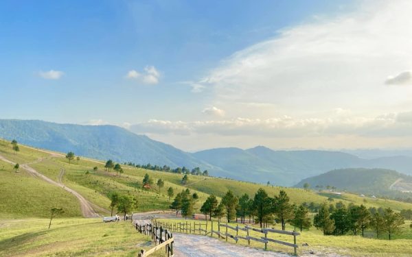 Trải Nghiệm Cắm Trại Trên Đỉnh Phượng Hoàng Cực Chill