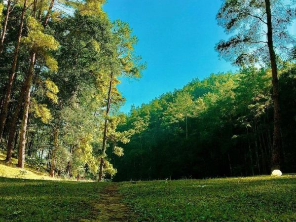 Kinh Nghiệm Cắm Trại Eo Gió Trạm Tấu: Thiên Đường Săn Mây Giữa Đại Ngàn Yên Bái