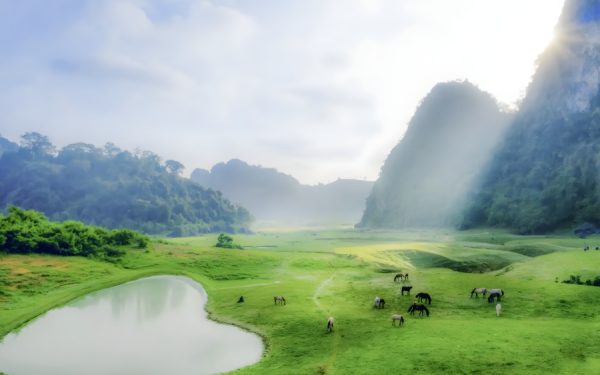 Tận Hưởng Sống Chậm Khi Cắm Trại Tại Thảo Nguyên Đồng Lâm