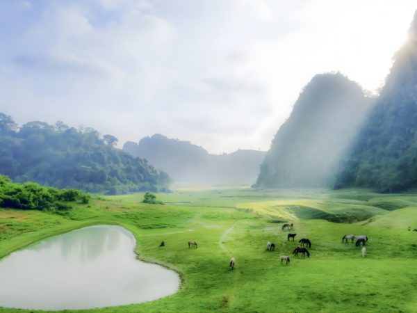 Tận Hưởng Sống Chậm Khi Cắm Trại Tại Thảo Nguyên Đồng Lâm