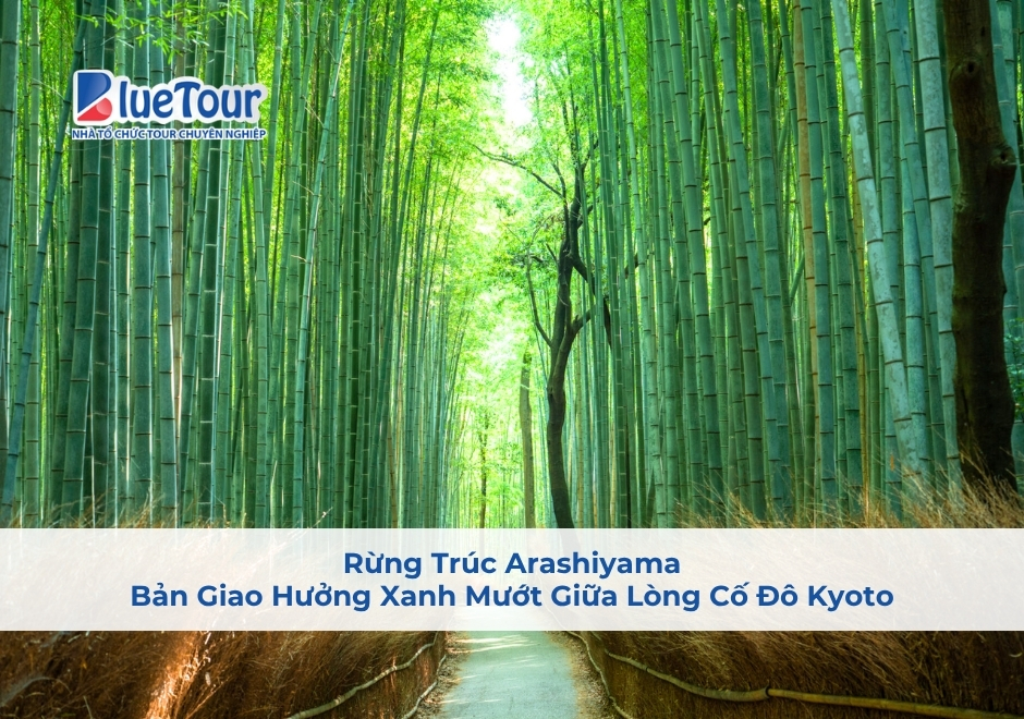 Rừng Trúc Arashiyama