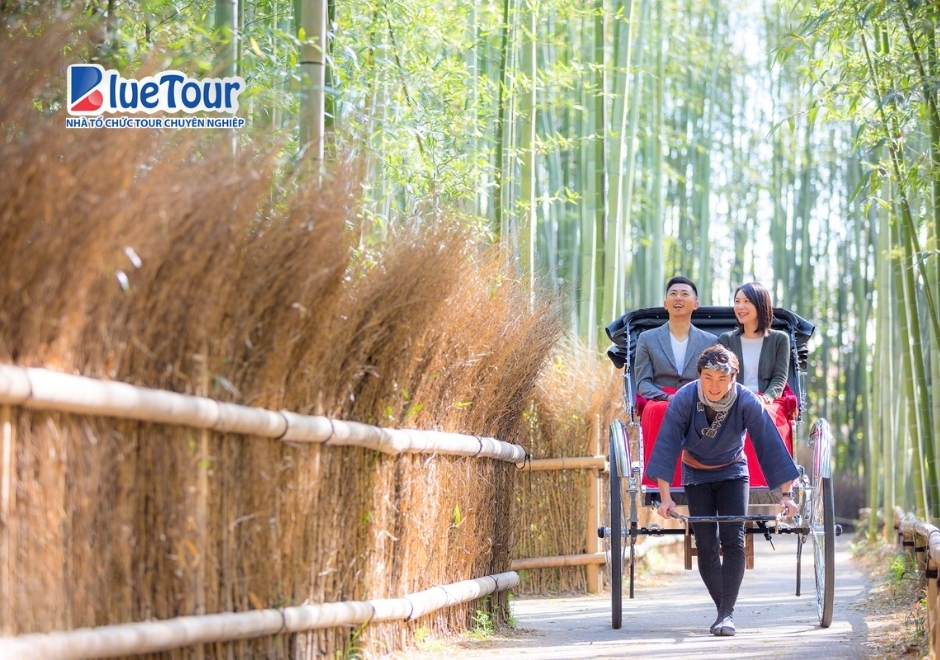 Rừng Trúc Arashiyama