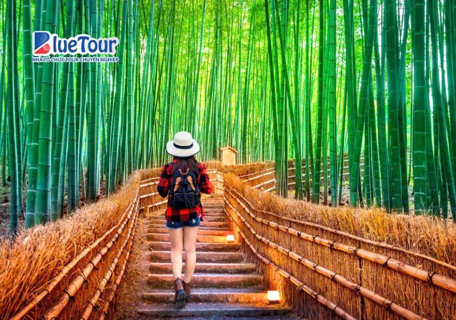 Rừng Trúc Arashiyama