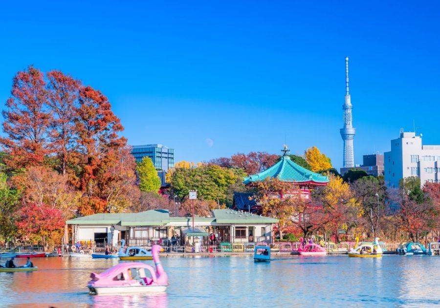 Tokyo Sky Tree