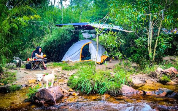 Cắm Trại Suối Trúc: Hành Trình “Trốn” Thành Phố Về Với Thiên Nhiên