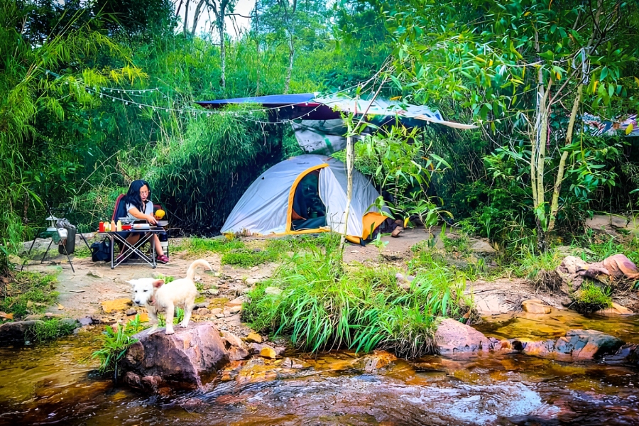 Cắm Trại Suối Trúc: Hành Trình “Trốn” Thành Phố Về Với Thiên Nhiên